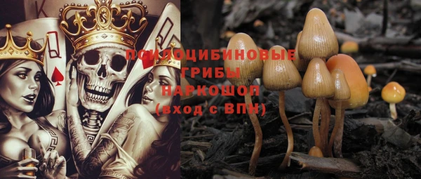 метадон Гусев