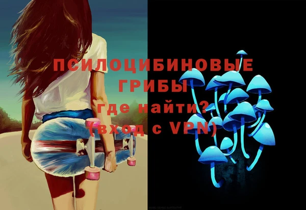 метадон Гусь-Хрустальный