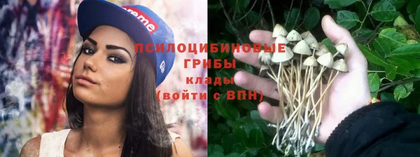 крисы Гусиноозёрск
