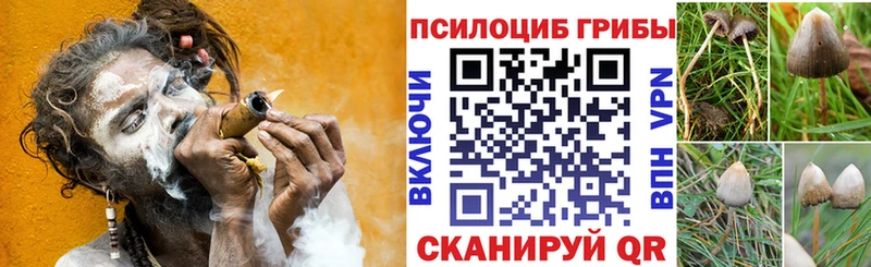 Псилоцибиновые грибы прущие грибы где найти наркотики Нестеровская